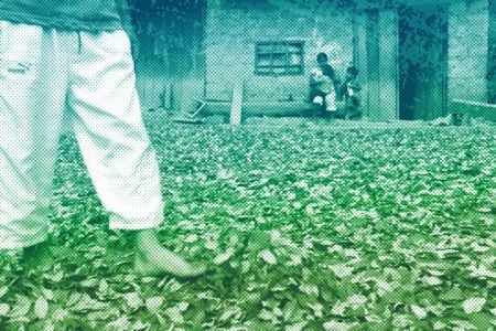 Amid worsening food shortages, we need to turn over a new leaf on the coca plant