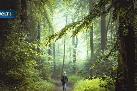 “Need tree species that tolerate freezers and saunas”
 | EUROtoday