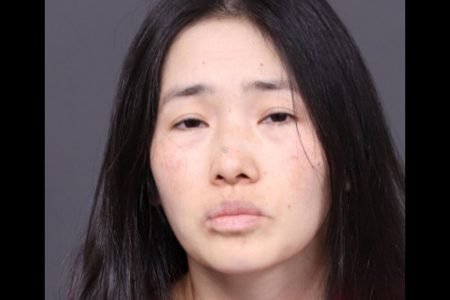 Mother admits to killing her two sons in ‘revenge’ plot
 | EUROtoday