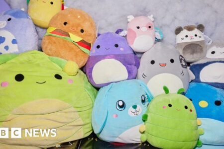 Squishmallows has launched a authorized battle in opposition to Build-A-Bear
| EUROtoday