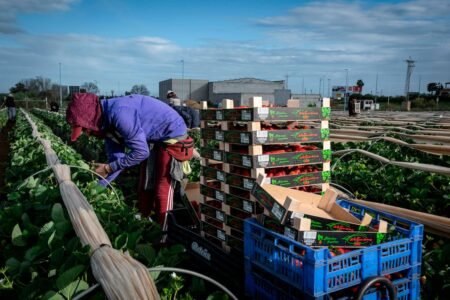 The push for immigration |  Business
 | EUROtoday