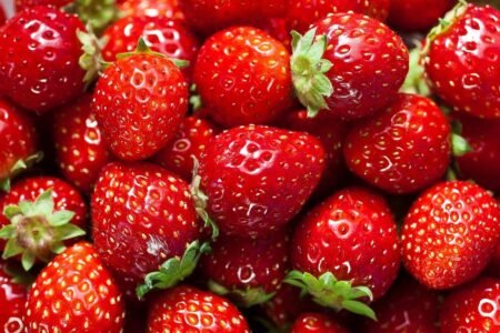 Karl's strawberry farm: “Cheaper than it has been for a long time” – the parable of pricy strawberries
 | EUROtoday