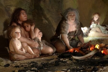 Fossil of Neanderthal with Down syndrome hints at group caregiving
 | EUROtoday