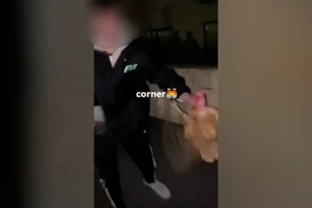 Two younger males are being investigated for utilizing a rooster as a soccer in a municipality in La Rioja
 | EUROtoday