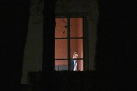 After accusations of racism: authorities disaster averted within the Netherlands
 | EUROtoday
