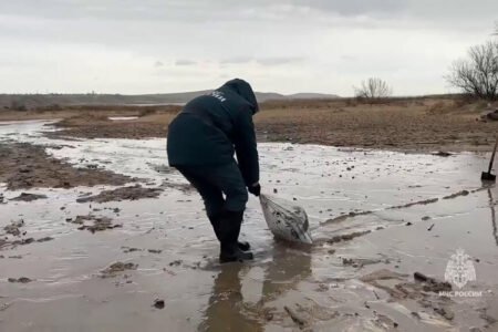 Oil slick from Russian tanker spill reaches Crimea
 | EUROtoday