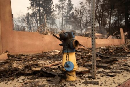 California wildfires: How and why did hearth hydrants run dry throughout Los Angeles?
 | EUROtoday