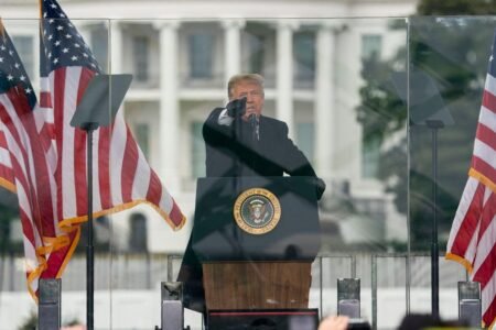 Democracy Advocates Say Trump’s Return Means They Must Work Even Harder
 | EUROtoday