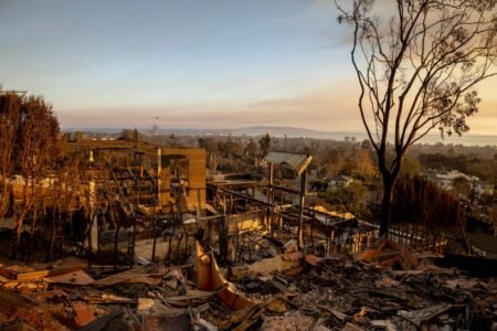 The LA county wildfires could possibly be the most expensive in US historical past, early estimates say
 | EUROtoday