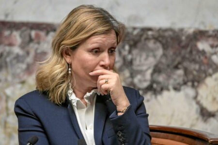 Yaël Braun-Pivet Récadre Élise Lucet after her anti-crop assessments within the Assembly
 | EUROtoday