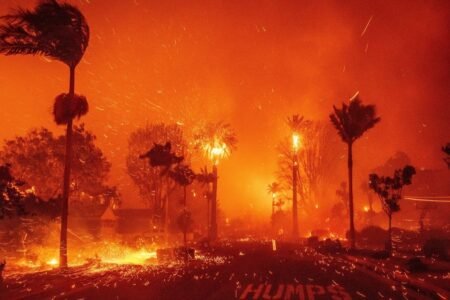 Trump’s Mass Layoffs Raise Risk Of Wildfires In West, Warn Fired Workers
 | EUROtoday