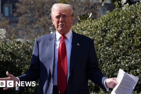 Trade struggle escalates as Trump’s 25% metallic tariffs take impact
 | EUROtoday