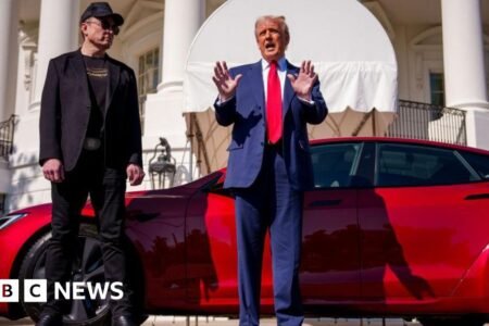 Elon Musk’s Tesla raises concern over retaliation danger
 | EUROtoday