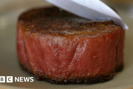 Lab-grown meals could possibly be bought in UK in two years
 | EUROtoday