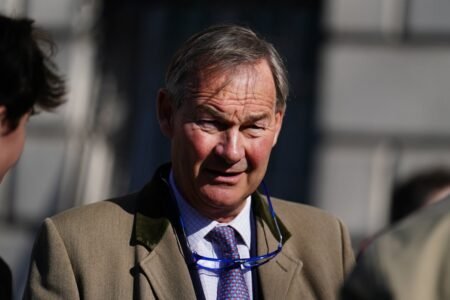 The Rupert Lowe row has blown open Reform UK’s dysfunction below Nigel Farage’s management
 | EUROtoday