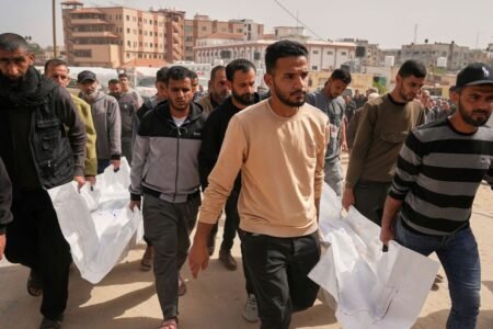 Middle East battle: Location in Gaza: UN organizations elevate the alarm
 | EUROtoday