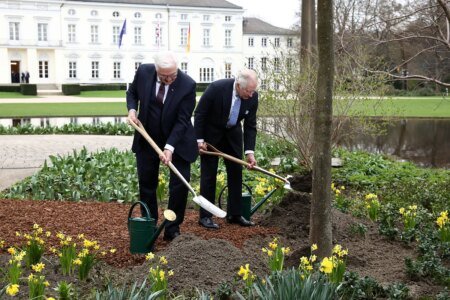 Constitutional monarchies assume an more and more energetic position in inexperienced diplomacy
 | EUROtoday