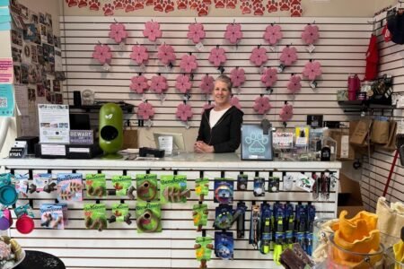 World commerce: small outlets, nice worries: Trump’s tariffs meet US sellers
 | EUROtoday