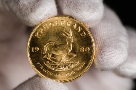Gold value rally within the actuality verify
 | EUROtoday