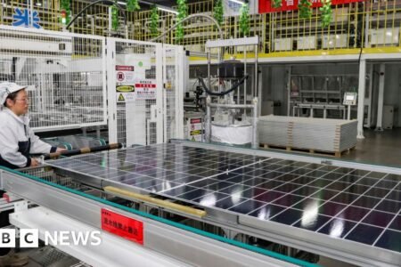 US units tariffs of as much as 3,521% on South East Asia photo voltaic panels
 | EUROtoday