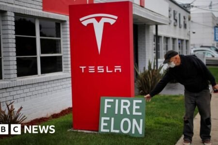 Tesla income plunge amid Musk backlash
 | EUROtoday