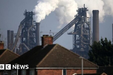 Why is British Steel in hassle, who owns it and what is going to the federal government do?
 | EUROtoday