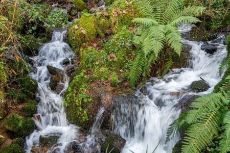 The unimaginable 100-mile UK street journey that stops at 10 stunning waterfalls | UK | News
 | EUROtoday