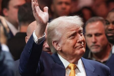 Donald Trump’s tantrums are scary however present enormous alternatives for the UK
 | EUROtoday