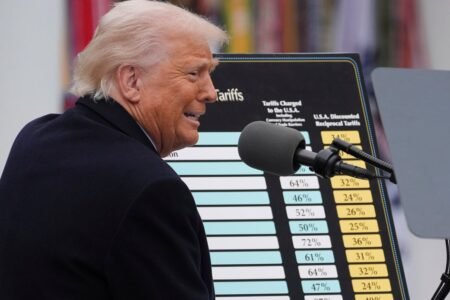 Trump’s Tariffs Rationale Doesn’t Make Sense
 | EUROtoday