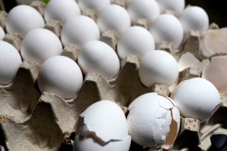 U.S. Egg Prices Soar To Record High, Despite Donald Trump’s Prediction
 | EUROtoday