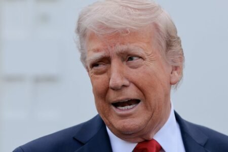 Top CEOs Warn Trump Tariffs Will Empty Store Shelves: Report
 | EUROtoday