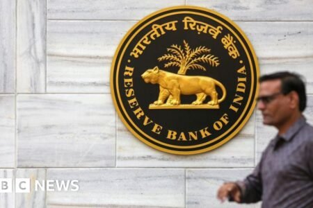 India cuts charges as Trump’s tariffs put development in danger
 | EUROtoday