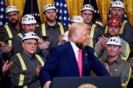 They are the providers … does Trump know or is the silly? | Economy
 | EUROtoday