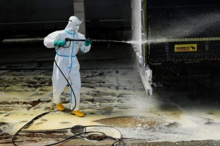 Foot-and-mouth illness outbreak results in border closures in Europe
 | EUROtoday