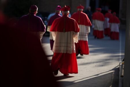 Watch dwell: Cardinals meet at Vatican to debate Pope Francis funeral plans
 | EUROtoday