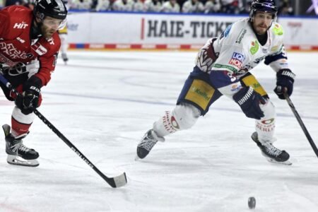 German ice hockey league: Eisbären Berlin in entrance of an eleventh title – Cologne Haie once more with no probability
 | EUROtoday