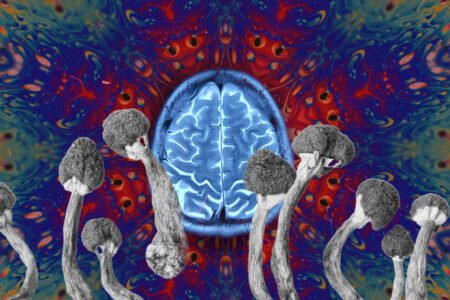 Depression, addictions, finish of life … Psychedelics, from mystical journey to medical hope
| EUROtoday