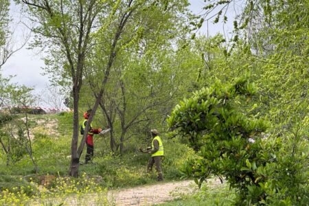The decide issued a sentence concerning the Montecarmelo canton: it doesn’t match the place the Madrid City Council desires | News from Madrid
 | EUROtoday