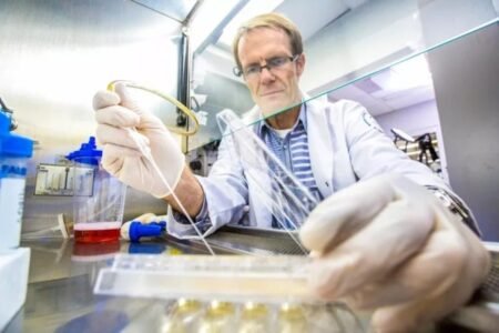 Initial success of two stem cell transplants in opposition to Parkinson | Science
 | EUROtoday