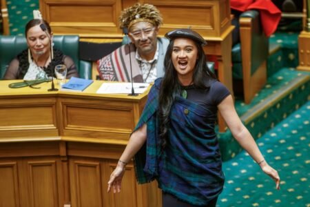 Controversial invoice that sparked Maori rights protests closely defeated in New Zealand parliament
 | EUROtoday