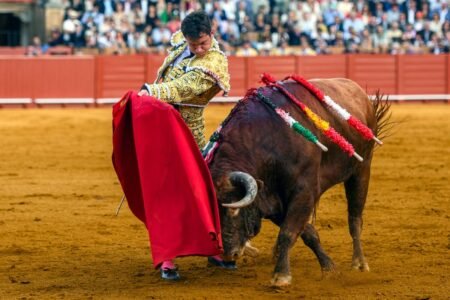 Inauguration of the season within the instructor: the infinite goodness (within the bull) is a memez | Culture
 | EUROtoday