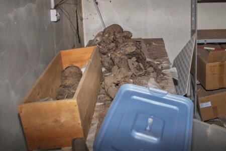 Relics stolen and mummy coffins looted as Sudan’s largest museum ravaged by battle
 | EUROtoday