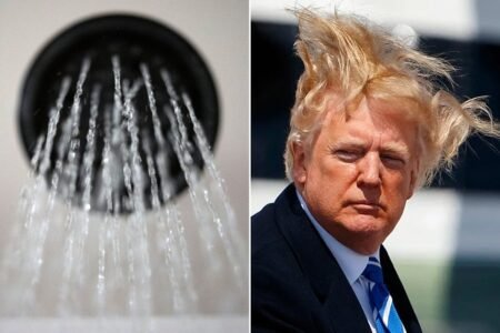 Trump plans to repair showerheads and dishwashers so every part will get extra clear — together with his ‘beautiful hair’
 | EUROtoday