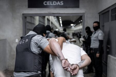 Even Joe Rogan is fearful about harmless individuals being despatched to El Salvadorian jail
 | EUROtoday