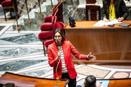 The National Assembly interrupts its work on the legislation of “simplification” earlier than a restoration which guarantees to be electrical on the finish of April
 | EUROtoday