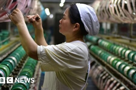 China slams nations making an attempt to ‘appease’ US in commerce offers
 | EUROtoday