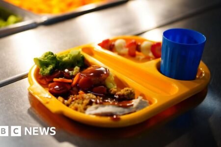 Herefordshire Council makes free college meal pledge for holidays
 | EUROtoday