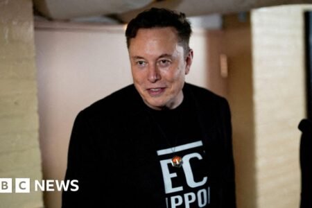 Elon Musk labels White House advisor ‘moron’ over Tesla remark
 | EUROtoday