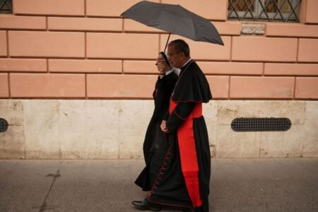 Conclave: Cardinals request divine help earlier than selecting a pope
 | EUROtoday
