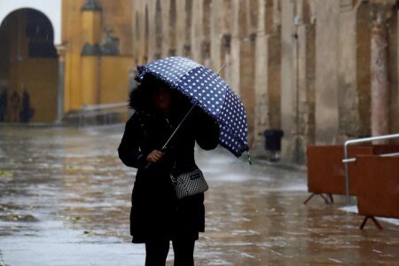 Aemet prompts yellow alert in three communities for heavy rains and storms
 | EUROtoday